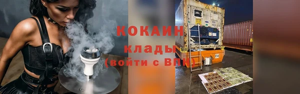ГАЛЛЮЦИНОГЕННЫЕ ГРИБЫ Абаза