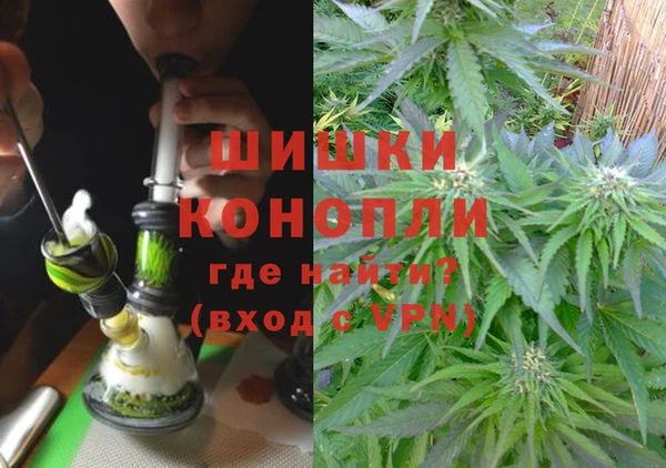 ГАЛЛЮЦИНОГЕННЫЕ ГРИБЫ Абаза