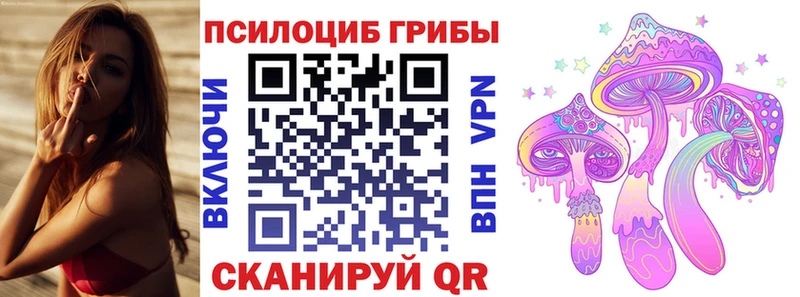 Псилоцибиновые грибы Magic Shrooms  сколько стоит  Козловка 